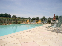 pool loungers